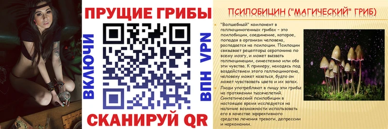закладка  Фокино  Псилоцибиновые грибы Magic Shrooms 